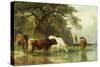 Cattle Watering in a River Landscape, 19th Century-Friedrich Voltz-Stretched Canvas