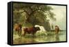 Cattle Watering in a River Landscape, 19th Century-Friedrich Voltz-Framed Stretched Canvas