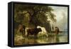 Cattle Watering in a River Landscape-Friedrich Johann Voltz-Framed Stretched Canvas