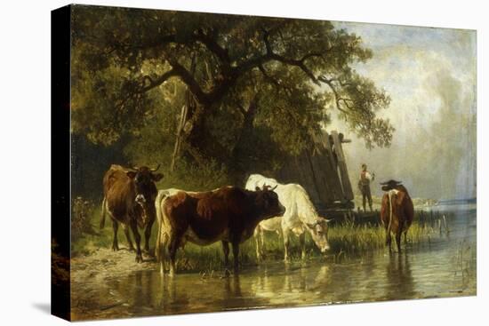 Cattle Watering in a River Landscape-Friedrich Johann Voltz-Stretched Canvas