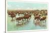 Cattle Watering on the Range-null-Stretched Canvas