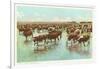 Cattle Watering on the Range-null-Framed Art Print