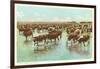 Cattle Watering on the Range-null-Framed Art Print