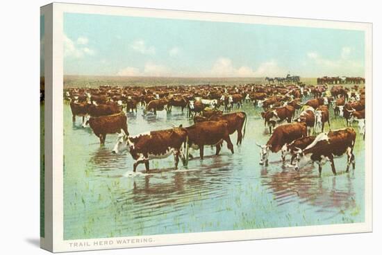 Cattle Watering on the Range-null-Stretched Canvas