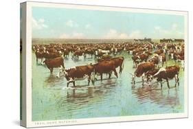 Cattle Watering on the Range-null-Stretched Canvas