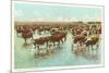 Cattle Watering on the Range-null-Mounted Premium Giclee Print