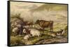 Cattle-Thomas Sidney Cooper-Framed Stretched Canvas