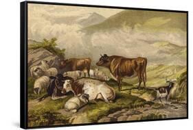 Cattle-Thomas Sidney Cooper-Framed Stretched Canvas