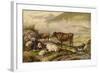 Cattle-Thomas Sidney Cooper-Framed Giclee Print