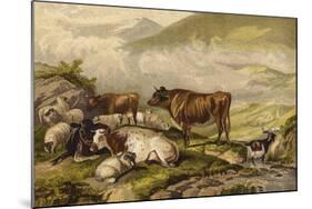 Cattle-Thomas Sidney Cooper-Mounted Giclee Print