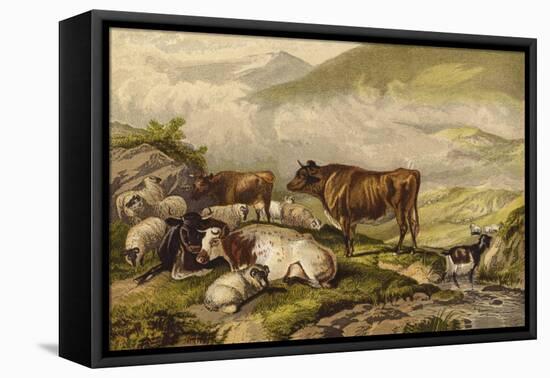 Cattle-Thomas Sidney Cooper-Framed Stretched Canvas