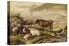 Cattle-Thomas Sidney Cooper-Stretched Canvas