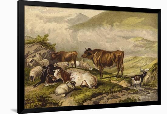 Cattle-Thomas Sidney Cooper-Framed Giclee Print