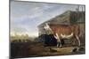 Cattle-Abraham van Calraet-Mounted Art Print