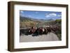 Cattledrive Looking towards Chimney Peak, near Ridgeway, Colorado-Joseph Sohm-Framed Photographic Print