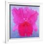 Cattleya, 2004-Lee Campbell-Framed Giclee Print