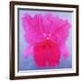 Cattleya, 2004-Lee Campbell-Framed Giclee Print