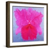 Cattleya, 2004-Lee Campbell-Framed Giclee Print