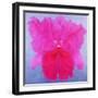 Cattleya, 2004-Lee Campbell-Framed Giclee Print