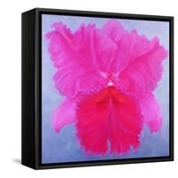 Cattleya, 2004-Lee Campbell-Framed Stretched Canvas