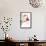 Cattleya Ibrid 3-Fabio Petroni-Framed Stretched Canvas displayed on a wall