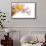 Cattleya Ibrid-Fabio Petroni-Framed Stretched Canvas displayed on a wall