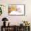 Cattleya Ibrid-Fabio Petroni-Framed Stretched Canvas displayed on a wall