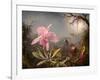 Cattleya Orchid and Three Hummingbirds, 1871 (Oil on Wood)-Martin Johnson Heade-Framed Giclee Print