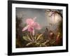 Cattleya Orchid and Three Hummingbirds, 1871 (Oil on Wood)-Martin Johnson Heade-Framed Giclee Print