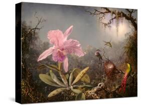 Cattleya Orchid and Three Hummingbirds, 1871 (Oil on Wood)-Martin Johnson Heade-Stretched Canvas