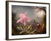 Cattleya Orchid and Three Hummingbirds, 1871 (Oil on Wood)-Martin Johnson Heade-Framed Giclee Print