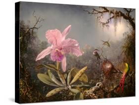 Cattleya Orchid and Three Hummingbirds, 1871 (Oil on Wood)-Martin Johnson Heade-Stretched Canvas