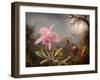 Cattleya Orchid and Three Hummingbirds, 1871 (Oil on Wood)-Martin Johnson Heade-Framed Giclee Print