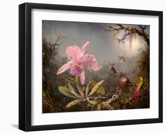 Cattleya Orchid and Three Hummingbirds, 1871 (Oil on Wood)-Martin Johnson Heade-Framed Giclee Print