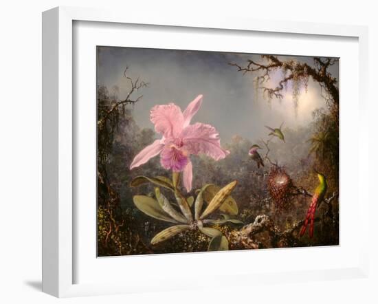 Cattleya Orchid and Three Hummingbirds, 1871 (Oil on Wood)-Martin Johnson Heade-Framed Giclee Print