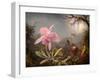 Cattleya Orchid and Three Hummingbirds, 1871 (Oil on Wood)-Martin Johnson Heade-Framed Giclee Print