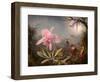 Cattleya Orchid and Three Hummingbirds, 1871 (Oil on Wood)-Martin Johnson Heade-Framed Giclee Print