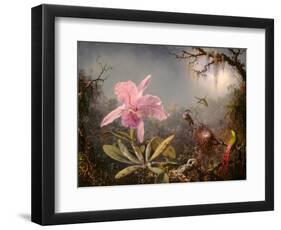 Cattleya Orchid and Three Hummingbirds, 1871 (Oil on Wood)-Martin Johnson Heade-Framed Giclee Print