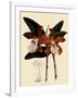 Cattleya Velutina-John Nugent Fitch-Framed Giclee Print