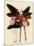 Cattleya Velutina-John Nugent Fitch-Mounted Giclee Print