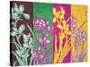 Cattleyas-Lanie Loreth-Stretched Canvas