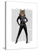 Catwoman-Fab Funky-Stretched Canvas