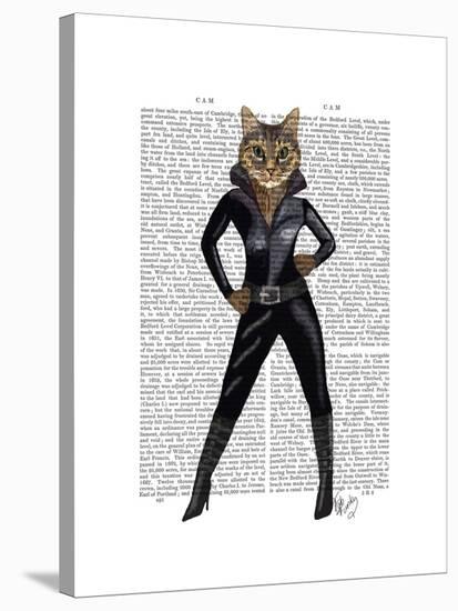 Catwoman-Fab Funky-Stretched Canvas