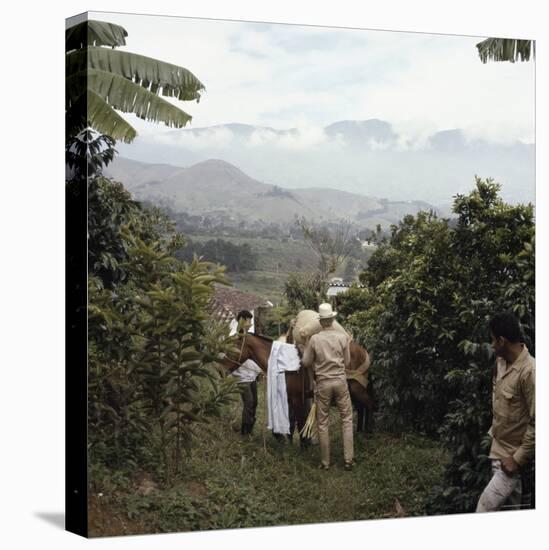 Cauca River Valley, Colombia-null-Stretched Canvas