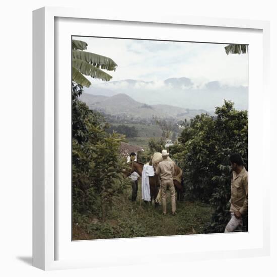 Cauca River Valley, Colombia-null-Framed Photographic Print