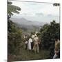 Cauca River Valley, Colombia-null-Mounted Photographic Print