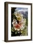 Caucasian Rhododendron (Rhododendron Caucasium) with Mount Elbrus in the Distance, Caucasus, Russia-Schandy-Framed Photographic Print