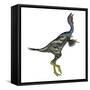 Caudipteryx Dinosaur with Head Up-Stocktrek Images-Framed Stretched Canvas