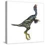 Caudipteryx Dinosaur with Head Up-Stocktrek Images-Stretched Canvas