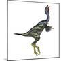 Caudipteryx Dinosaur with Head Up-Stocktrek Images-Mounted Art Print